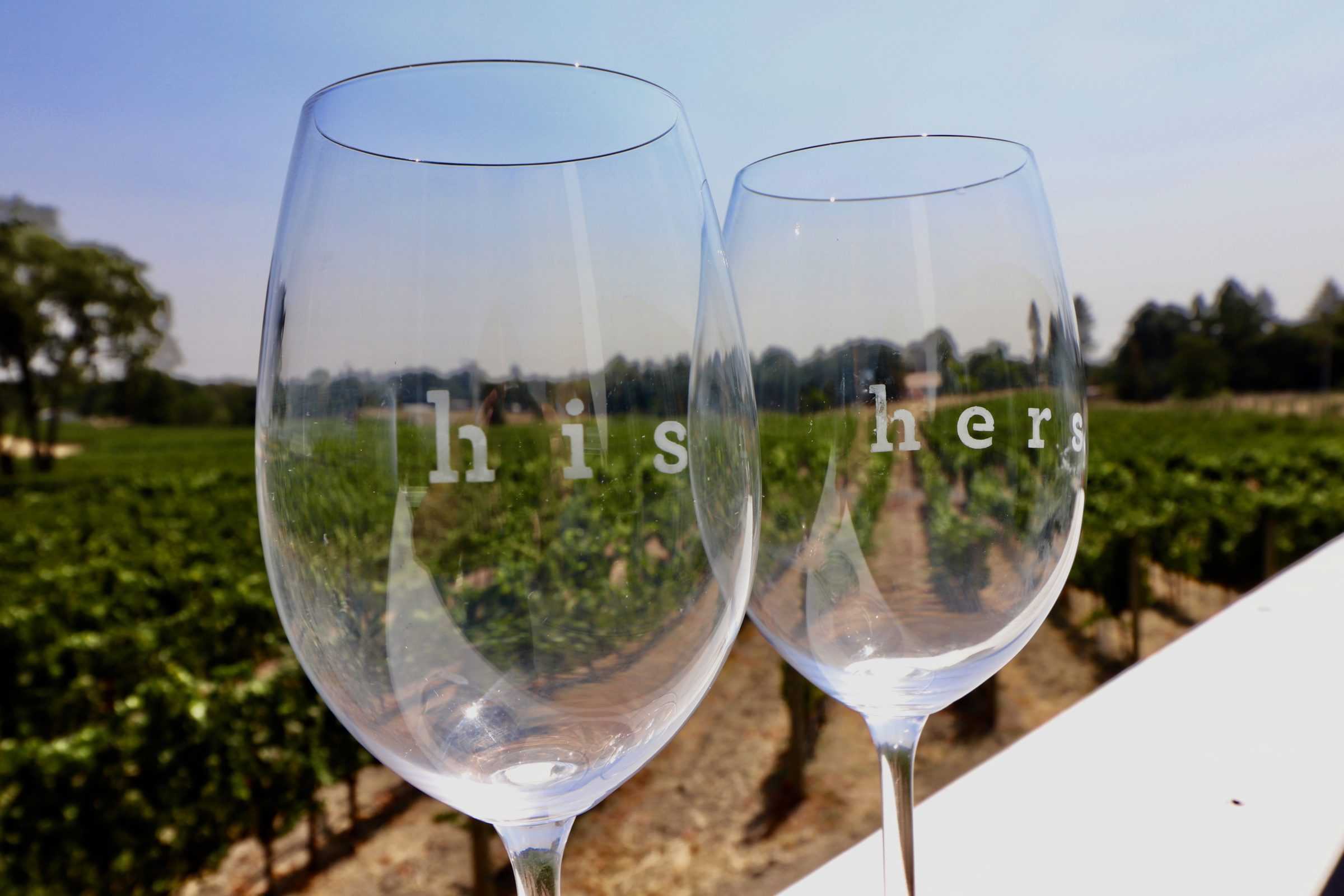 DIY Etched Wine Glasses