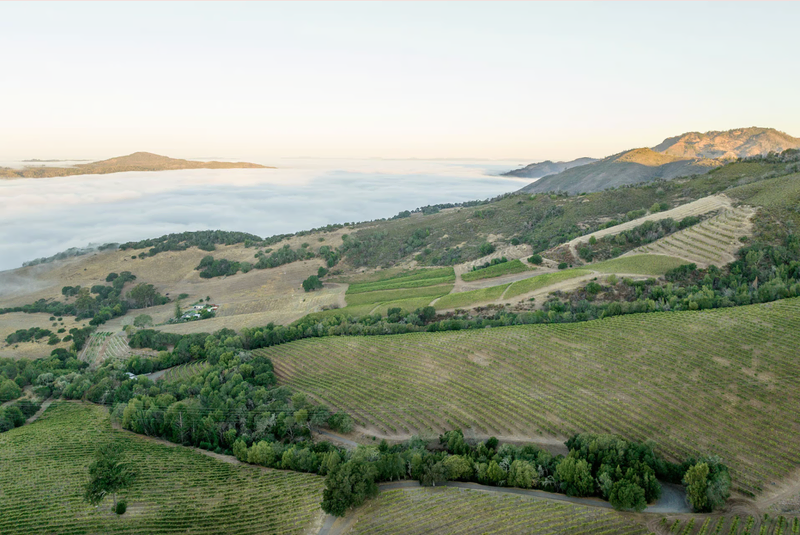 over view of the mountains and vineyard as featured in Bricoleur Vineyard blog